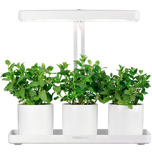 TORCHSTAR Indoor Garden Kit Herb and Kitchen Garden Grow Light | Wayfair.ca